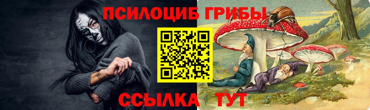Галлюциногенные грибы Cubensis  Вход с VPN  Псилоцибиновые грибы Psilocybine cubensis  Вольск 